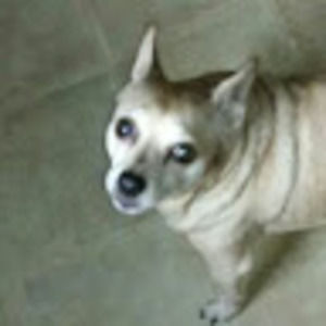 Meet your Posher, Jim